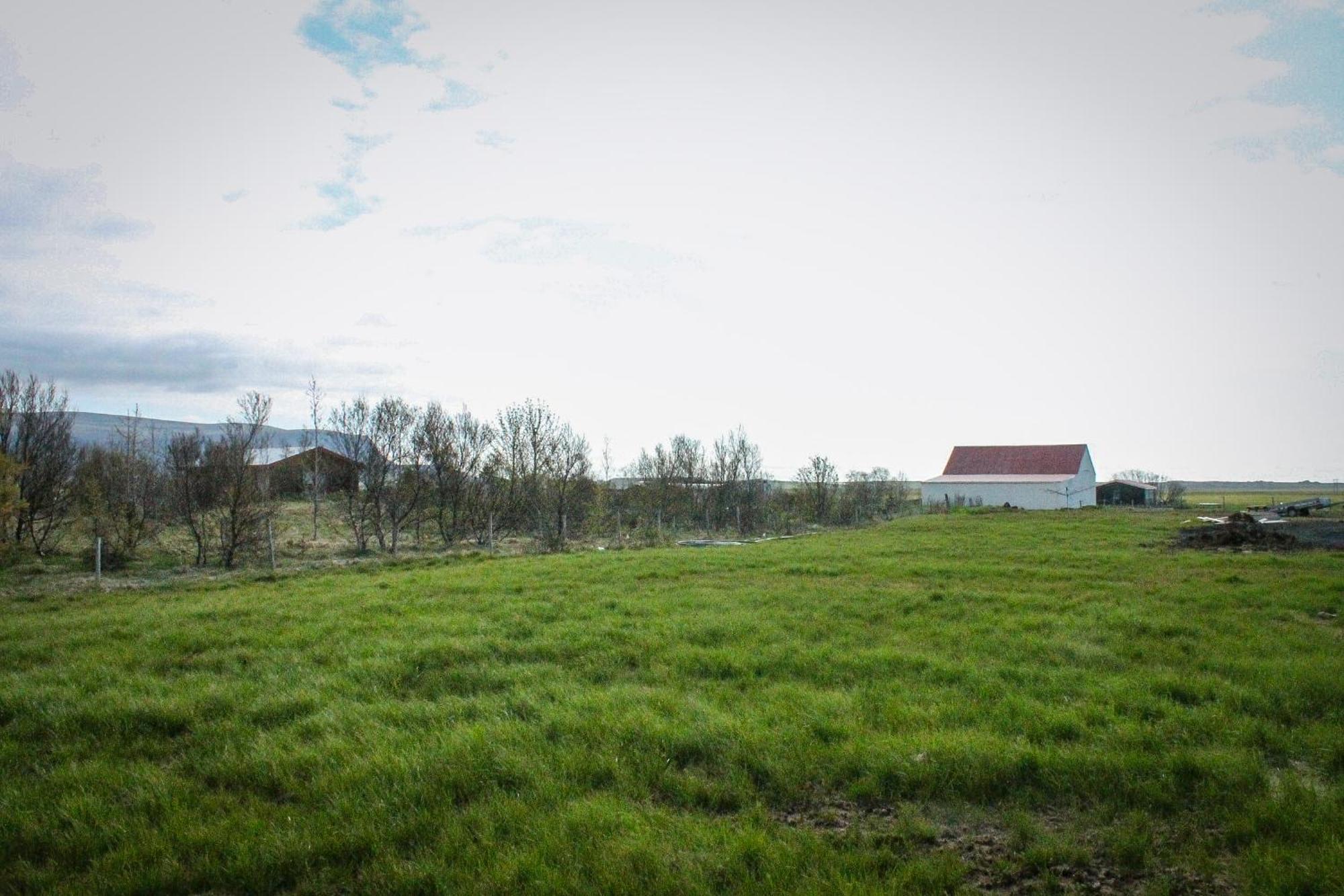 Sun-Cottage South Iceland Olfus Exterior photo